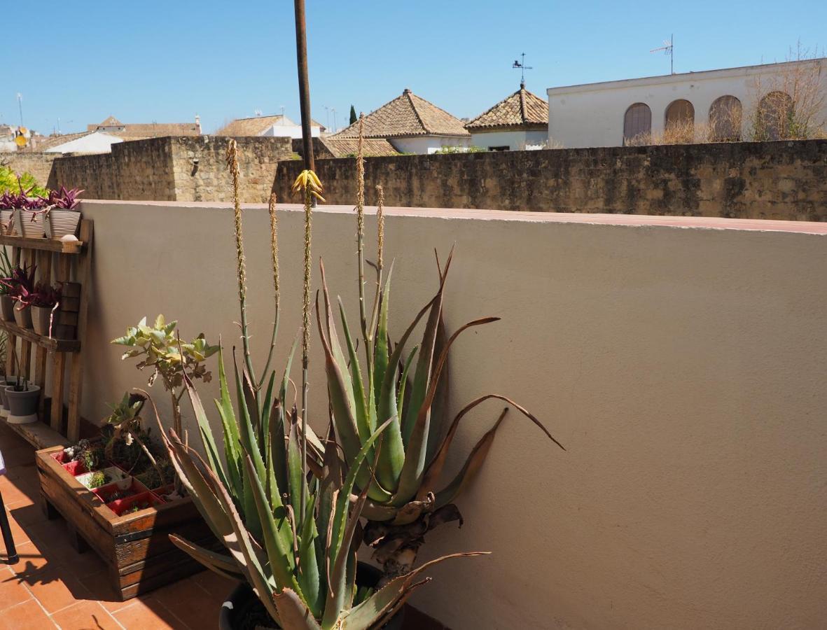 Apartamento En Juderia La Murallita Cordoue Extérieur photo